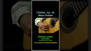 Thumbnail for l'Oeillet, Op. 46, No. 6 by Mauro Giuliani, performed by Edson Lopes