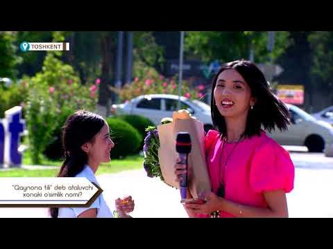 Qaynonaning tukli mushuk surati Qaynonaning tukli mushuk surati