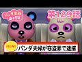 ちーにゃチャンネルの人気動画 YouTube急上昇ランキング (カテゴリ:エンタメ)