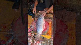 (Part:-430) Wow! Attractive Best Rohu Fish Cutting Technique 😱 #shorts