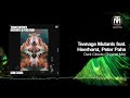Teenage Mutants Feat Heerhorst Peter Pahn Dark Clouds Original Mix Drumcode