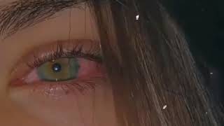 Lolo Dıloduygusal Kürtçe Whatsapp Durum Videoları Için Abone Olmayı Unutmayın Lütfen