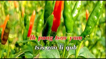 Rov log txog lub qub zog - karaoke