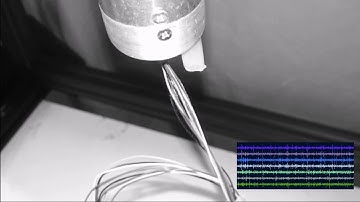 NEUROTEK INTAN COMMUTATOR