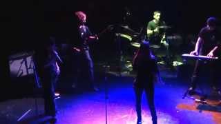 Fallen Symphony - Frozen Tears