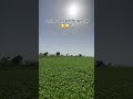 😂 नीचे वालों को समझा देना। #viral #nature #instagood #instagram #love#reels #farming #viral