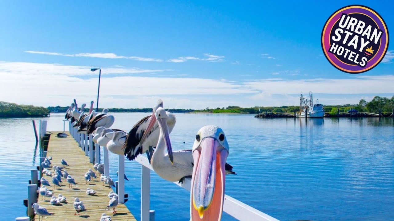 Moby Dick Waterfront Resort Motel | Yamba, Australia | Hotel Review 🛏️