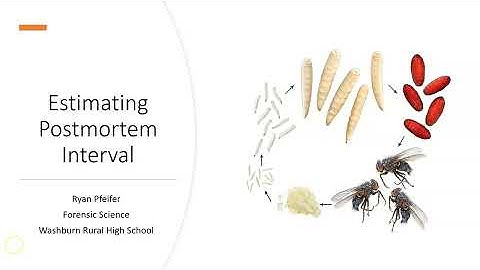 Estimating Postmortem Interval