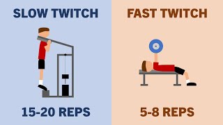 Should You Train According to Muscle Fibre Type?