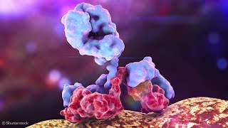 Advancing our Understanding of Immunoglobulins to Better Understand Disease
