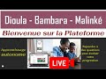 Apprendre Bambara & Dioula - Bienvenue sur la Plateforme d'apprentissage autonome Zanga School