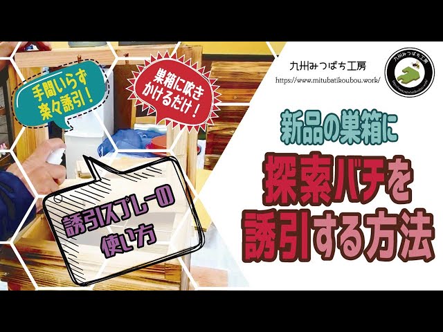 新品の巣箱に探索バチを誘引する方法】 日本みつばちの養蜂 How to
