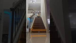 Ping Pong Trickshots