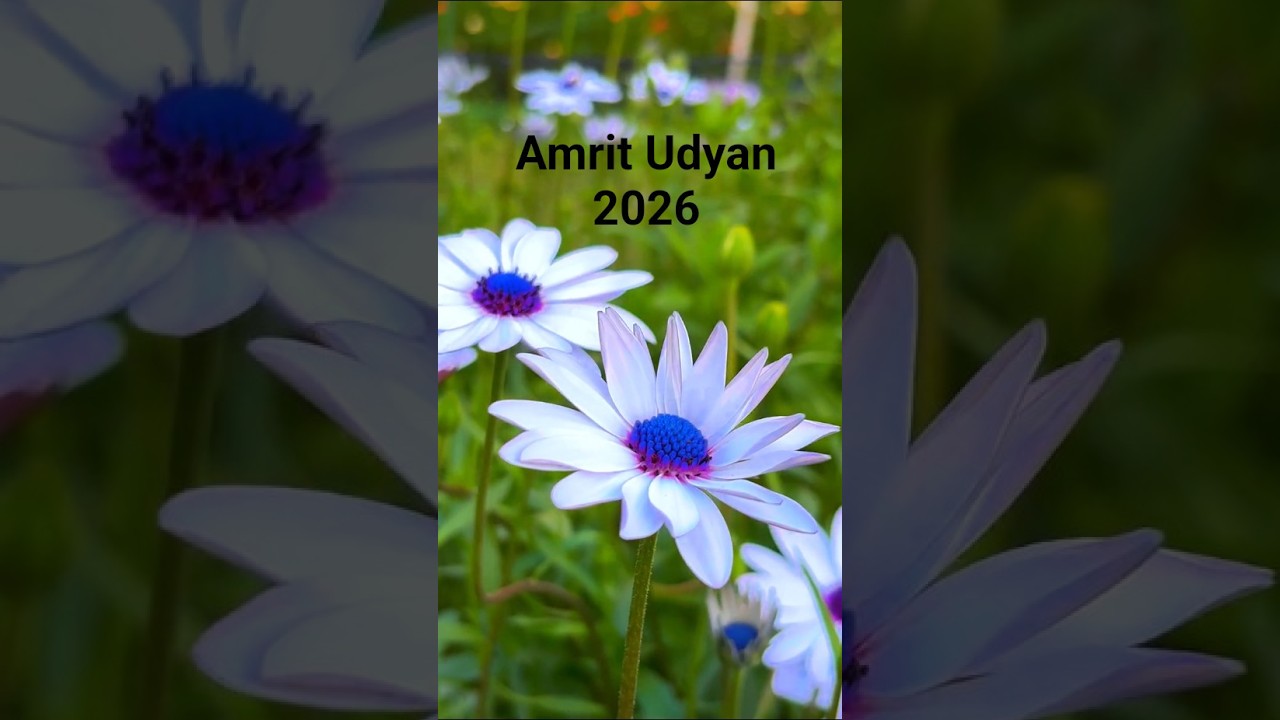 Amrit Udyan 2026 Now Open for Public 