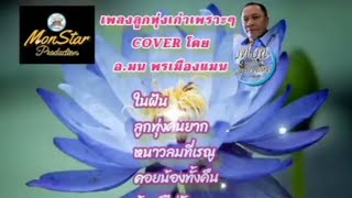 6 เพลงลูกทุ่งดังฟังเพราะ Cover Version By ..อ.มน พรเมืองแมน 🍀✨🎧