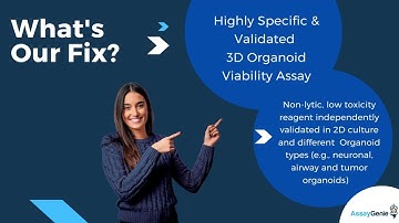 3D Organoid Viability Assay - Assay Genie