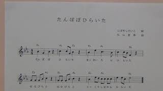 R2 5 15 たんぽぽひらいた はなぞの保育園 ひかりの村こども園 R2 5 15 たんぽぽひらいた はなぞの保育園 ひかりの村こども園