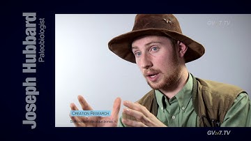 Soft tissue in dinosaur bones