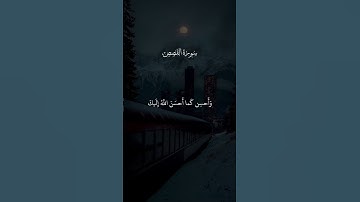 قران كريم راحة نفسية #اكسبلور #المصحف #راحة #لايك #الرحمن #vairal #قران_كريم