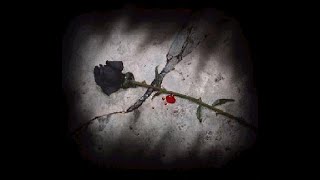 Bab 3Am Byebki - Assi Al Hellani