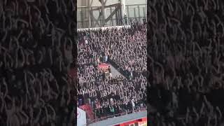 Tatangalar Samsunda Sunar