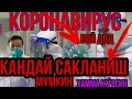 КОРОНАВИРУС ДАН КАНДАЙ САКЛАНИШ МУМКИН? ХАММА КУ́РСИН / УЗБЕКИСТОН / Koronavirus