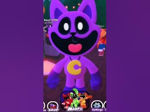 кэтнэп - YouTube