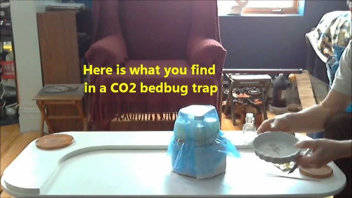 Homemade Bed Bug Trap 