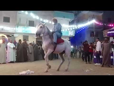 افراح كفر الدوار ابوعجيله لتنظيم الحفلات