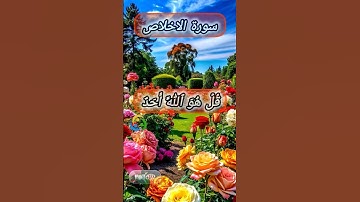 سورة الاخلاص #اكسبلور #المصحف #exceltricks #duet #القزابري #دويتو #الرحمن #تيك_توك #الطحان #ترند