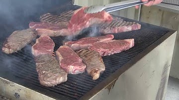 Angus VNR: Reality in beef research