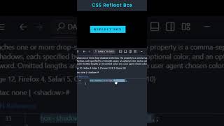 Famous 16-Day Challenge to Master CSS Create Reflect Box Profile