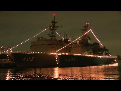 2015観艦式　電灯艦飾点灯　横浜港
