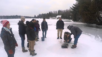BIOL202: Sampling benthic invertebrates on Lake Opinicon