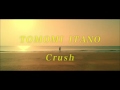 板野友美/Crush/pv