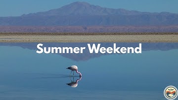 Relax & Unwind 🌺 | Summer Weekend Background Music