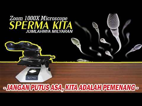 ZOOM 1000X SPERMA : WOW RATUSAN JUTA KEHIDUPAN DALAM SETETES SPERMA !!!!!