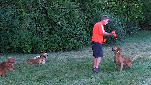 "Fetch Command" DVD method demonstrated by Jim Weg...