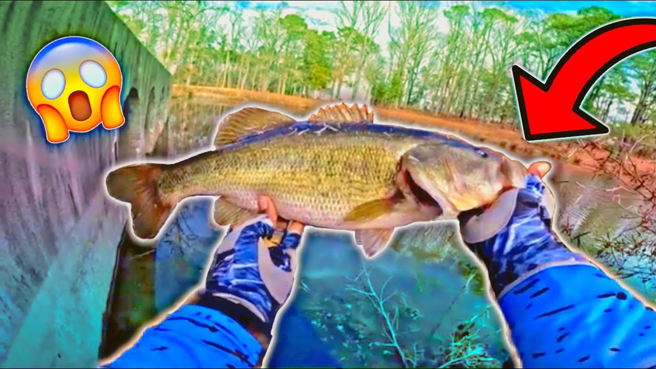 *NEW SPOT UNLOCKED*🔥PRIVATE PROPERTY ⚠️HONEYHOLE🍯HAS BIG BASS ITS EVERY CAST😱