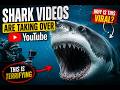 These Shark Videos Are TERRIFYING