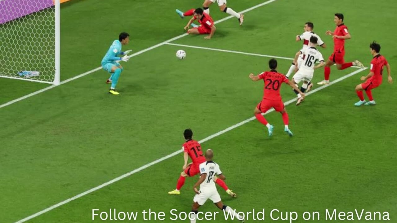 Ricardo Horta blasting it for Portugal - on MeaVana