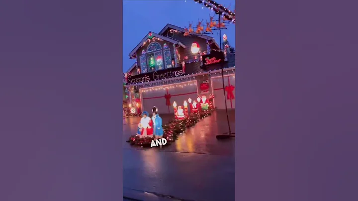 Best Christmas lights ever 👏😂