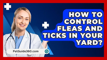 How To Control Fleas And Ticks In Your Yard? - PetGuide360.com