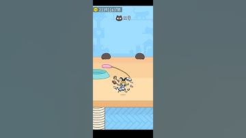 Hide and Seek: Cat Escape! 👀 🐈 29 Endless Mode Gameplay Walkthrough | Best Android, iOS Games#shorts