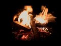 "ASMR Fire Sounds | Crackling Campfire & Gentle Flame Flickers for Relaxation, Sleep & Study"