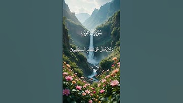 القرآن الكريم ربيع قلوبنا ونور صدورنا تلاوة خاشعة تريح القلب #القرآن_الكريم #تلاوة_خاشعة #الله #لايك