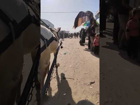 هي مواصلاتنا الحمدلله على كل حال