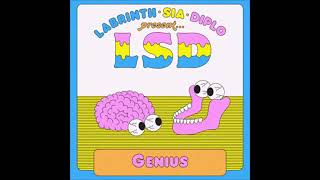 LSD Genius Vocal Isolation (Acapella)