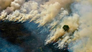Why is Borneo Burning?
