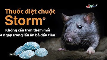 Storm - Thuốc diệt chuột thế hệ mới